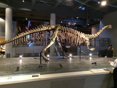 لوفنجوسورس سكيلتون